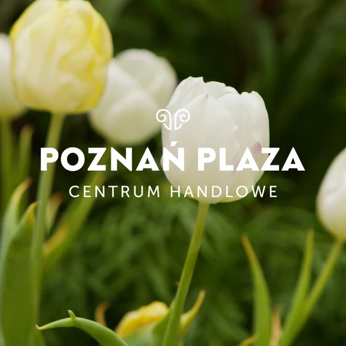 Poznań Plaza dokumentacja eventu